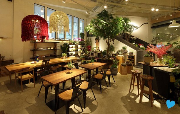20141120cafe15_12